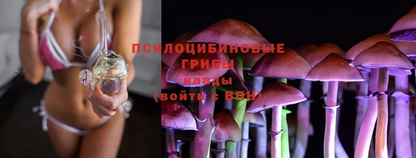 экстази Медвежьегорск