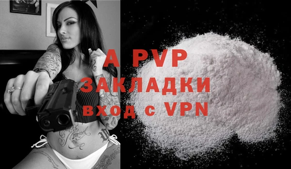 прущие крисы Магас