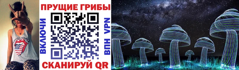 закладка  Набережные Челны  Псилоцибиновые грибы Psilocybine cubensis 