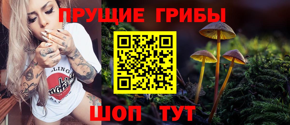 Галлюциногенные грибы Cubensis Набережные Челны