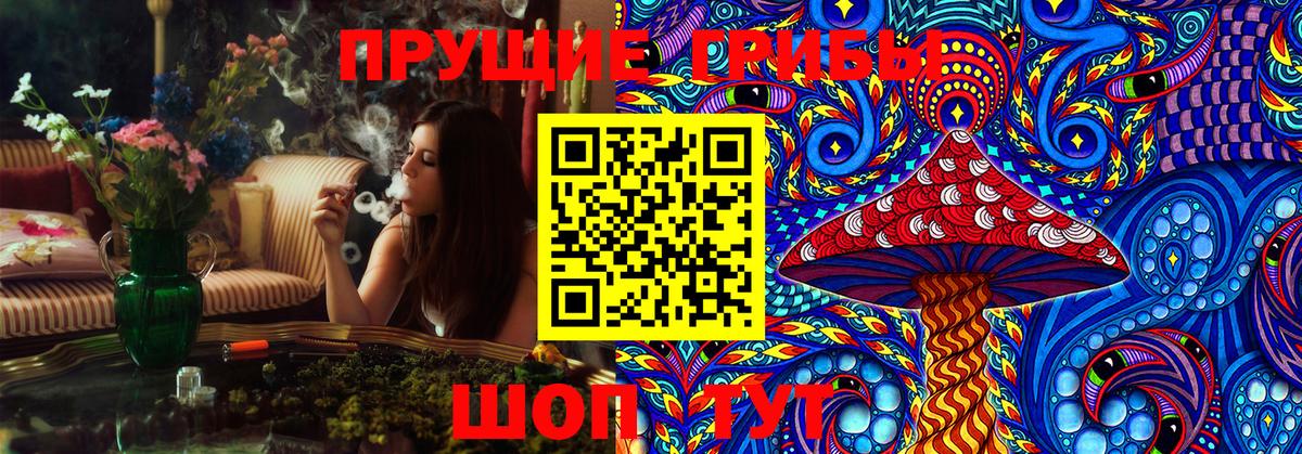купить наркотики сайты  Галлюциногенные грибы Psilocybe  Вход с VPN  Набережные Челны  Псилоцибиновые грибы мухоморы 